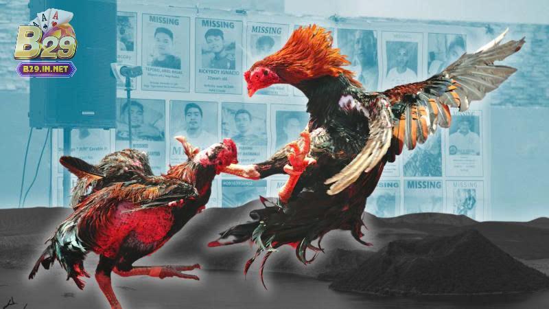 Đá Gà Philippines B29 – Hướng Dẫn, Kinh Nghiệm & Kèo Cá Cược Chính Xác 2 Các kèo phổ biến