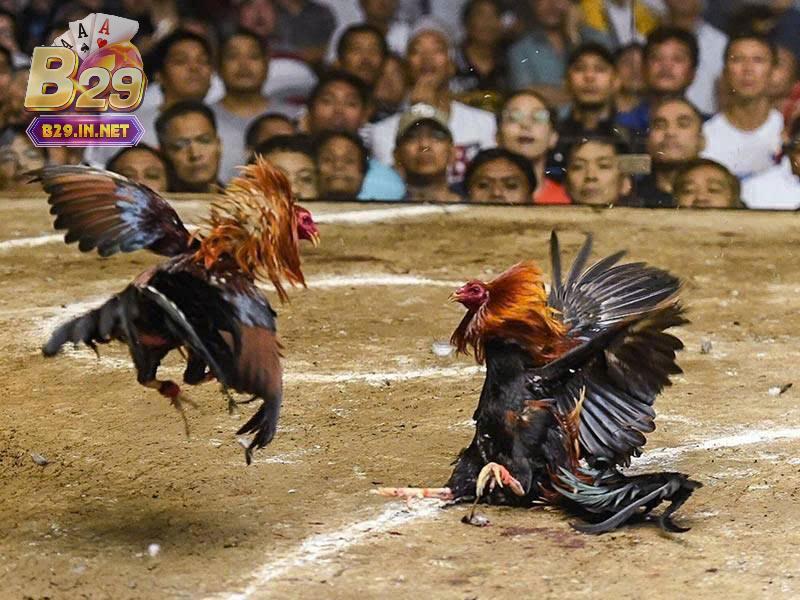 Những lưu ý khi tham gia